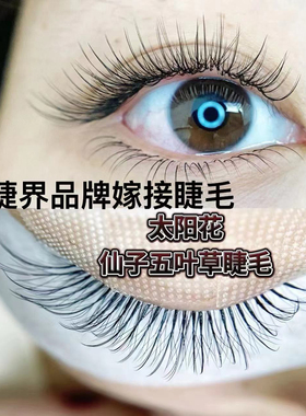 浓密黑款5D太阳花睫毛0.03超软麦穗五叶草专业美睫店美睫师专用