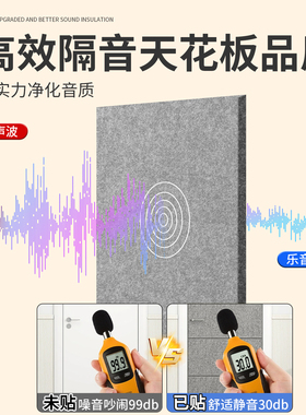 【降噪吸音】强效阻尼隔音板