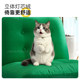 Sanmeng single sofa chair Duweilinger
