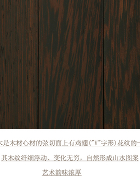黑鸡翅木羽毛纹艺术风挂墙两用