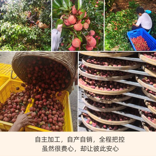 广西荔枝干鸡嘴荔枝干级新货500g无硫磺支持检测肉厚核小老树荔枝 - 图0