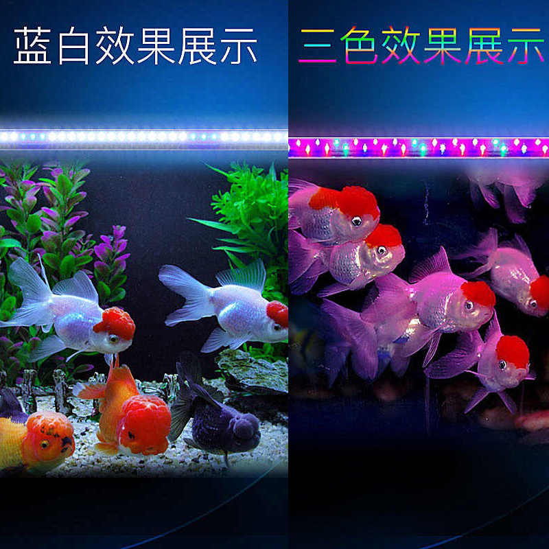 闽江森森鱼缸灯水族箱多色LED灯管三基色龙鱼灯超亮防水照明灯管 - 图1