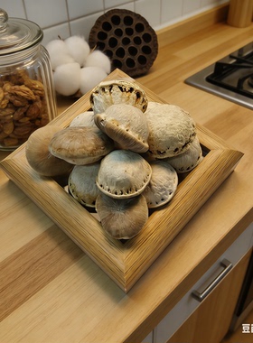 【风流果】 益肾子掉藤果豆荚娃娃果壳种子风铃DIY天然装饰材料