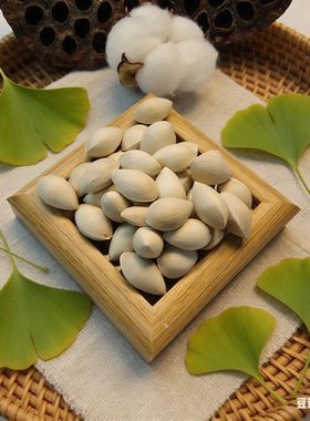 【白色银杏】 白色银杏 豆荚娃娃果壳种子风铃DIY天然装饰材料