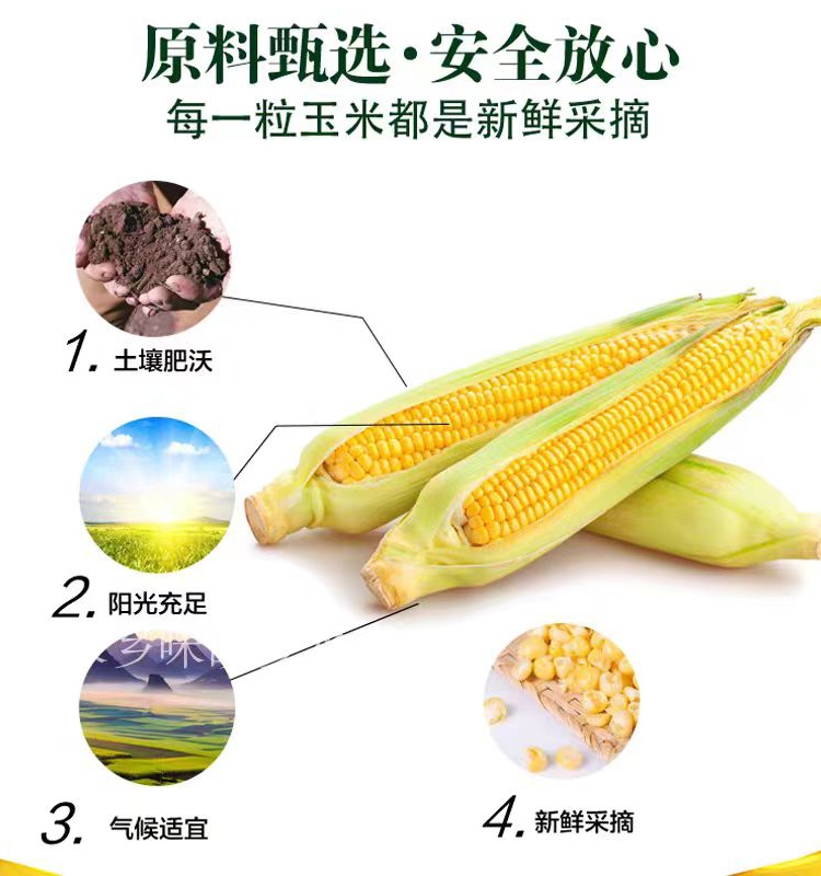 帅齐玉米胚芽油5L物理压榨非转基因玉米油食用油多省包邮 - 图3