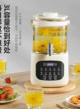 跨境出口110V电压养生壶花茶壶大容量煮茶器药膳烧水壶恒温壶3L