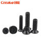 Black cross head computer screws