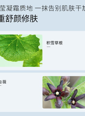 雪完美极地水光透润水凝霜50g滋润保湿补水面霜抗干燥霜官方正品
