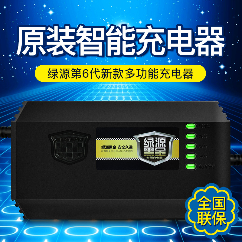 绿源电动电瓶车充电器48V12AH60V64V72V80V20E/30E-TB/2T原装正品 - 图2