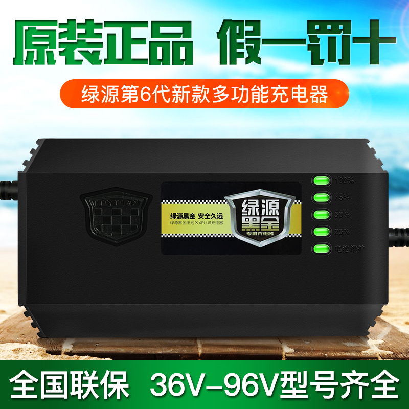 绿源电动电瓶车充电器48V12AH60V64V72V80V20E/30E-TB/2T原装正品 - 图1