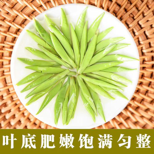 2026新茶紫阳富硒茶紫阳茶绿茶紫阳银针翠峰紫阳毛尖茶正宗陕青茶 - 图2