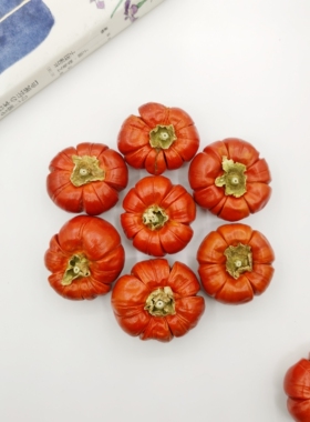 【小南瓜】巴西进口天然植物果实 手工DIY材料 圣诞花环辅材装饰