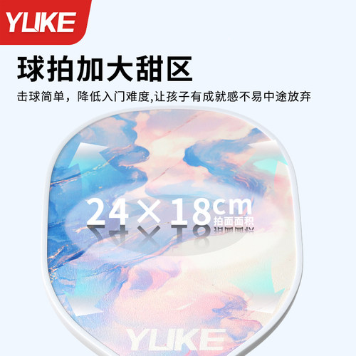 匹克球拍板全套pickleball儿童成人初学者专业比赛拍板碳纤维全套 - 图3