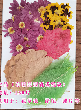 花草纸花瓣压花标本次品特惠