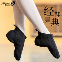 Jazz Dance Shoes Boots Dance Practice Dancing Shoes Small Jasmine Male And Female Soft Bottom Non-slip Black High Helps Adults Dance Shoes