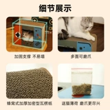 ТВ -тип -тип кота, захватывающая кошачье гнездо, все -на -один и не бросает крошки и гофрированные коткие кошки, кошачьи игрушки