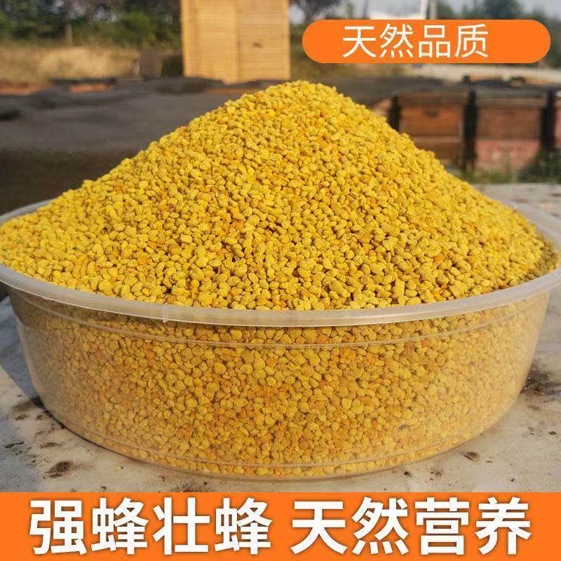 油菜花粉蜜蜂花粉饲料养蜂包邮喂蜂代用花粉天然养蜂工具杂粉颗粒 - 图3