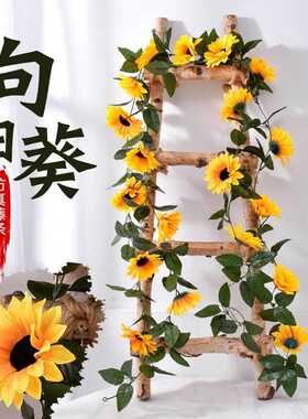 仿真太阳花藤条向日葵花藤假花藤蔓室内壁挂空调管道遮挡装饰花条