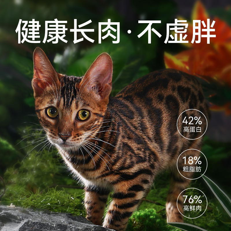 笑宠乳鸽鲜森猫粮鲜肉冻干猫咪成猫幼猫专用长肉发腮营养1kg2斤装 - 图2