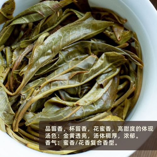 2026春茶【月牙塘】冰岛春老寨核心古树纯料普洱生茶200g饼 - 图2