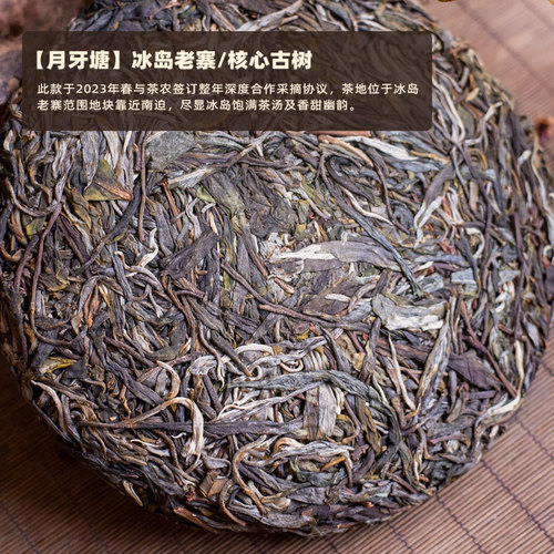 2026春茶【月牙塘】冰岛春老寨核心古树纯料普洱生茶200g饼 - 图0