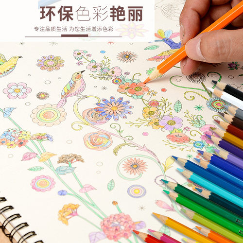 德国辉柏嘉彩色铅笔 油性36/48/72色城堡彩铅手绘填色绘画套装 初学者手绘水溶性彩笔油性彩铅色铅笔多省包邮 - 图3