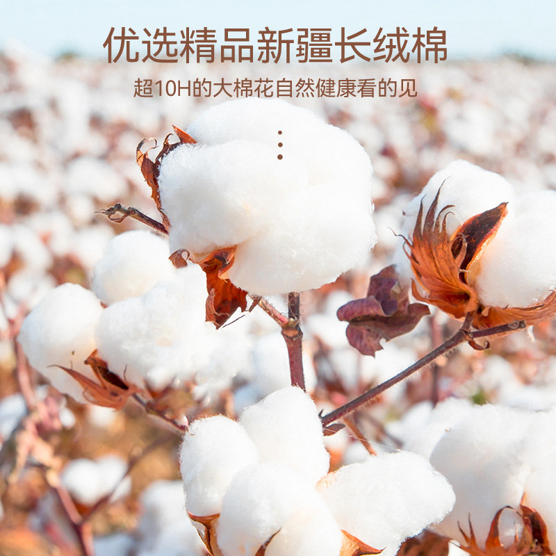 三枪女士纯棉透气中腰少女生头内裤 三枪杭州女三角裤