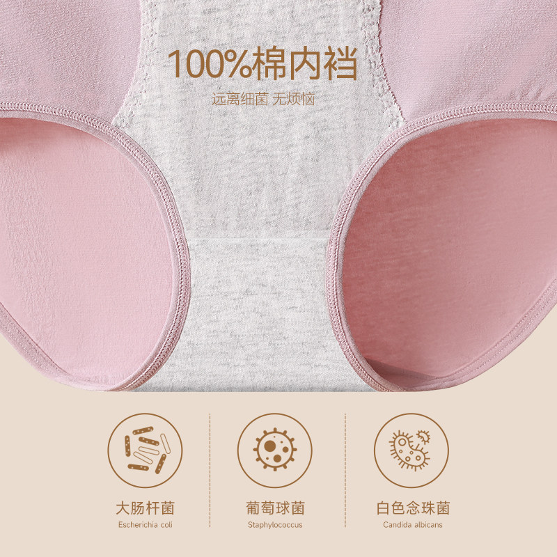 三枪高腰女士纯棉抑菌100%棉三角裤 三枪杭州女三角裤
