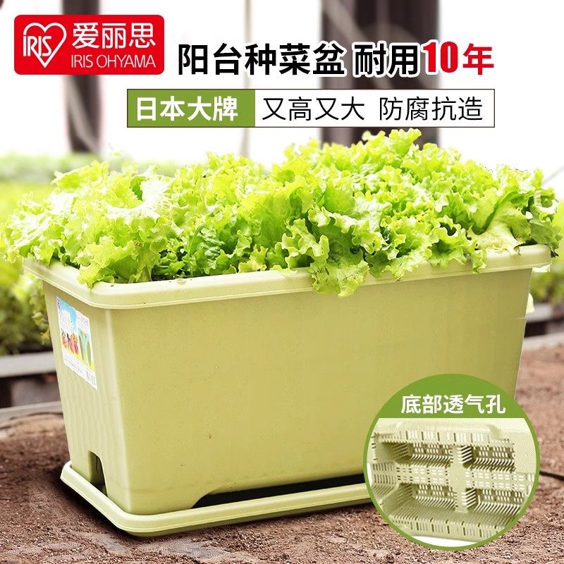 爱丽思IRIS 长方形蔬菜种植大号长条盆爱丽丝家用家庭阳台大花盆,淘宝优惠券,粉丝福利购,淘宝优惠卷