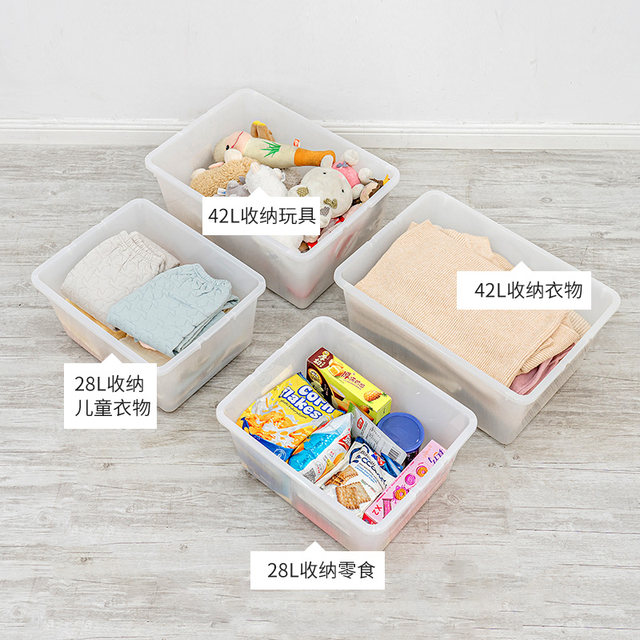 Alice organizes large transparent storage box with cover