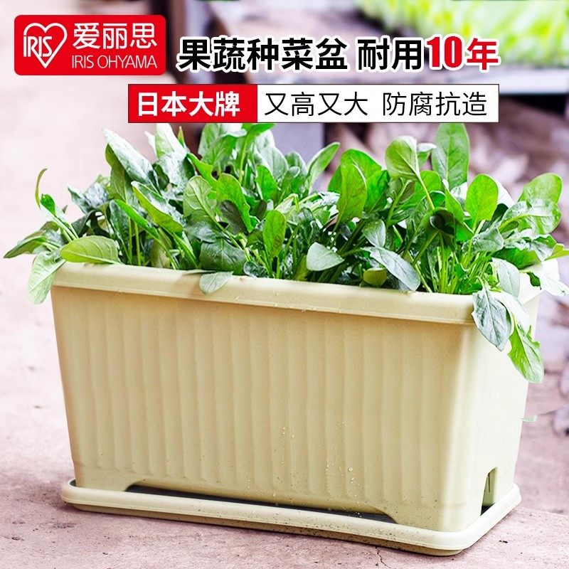 爱丽思IRIS 长方形蔬菜种植大号长条盆爱丽丝家用家庭阳台大花盆,淘宝优惠券,粉丝福利购,淘宝优惠卷