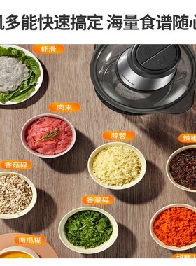 九阳家用多功能绞肉机