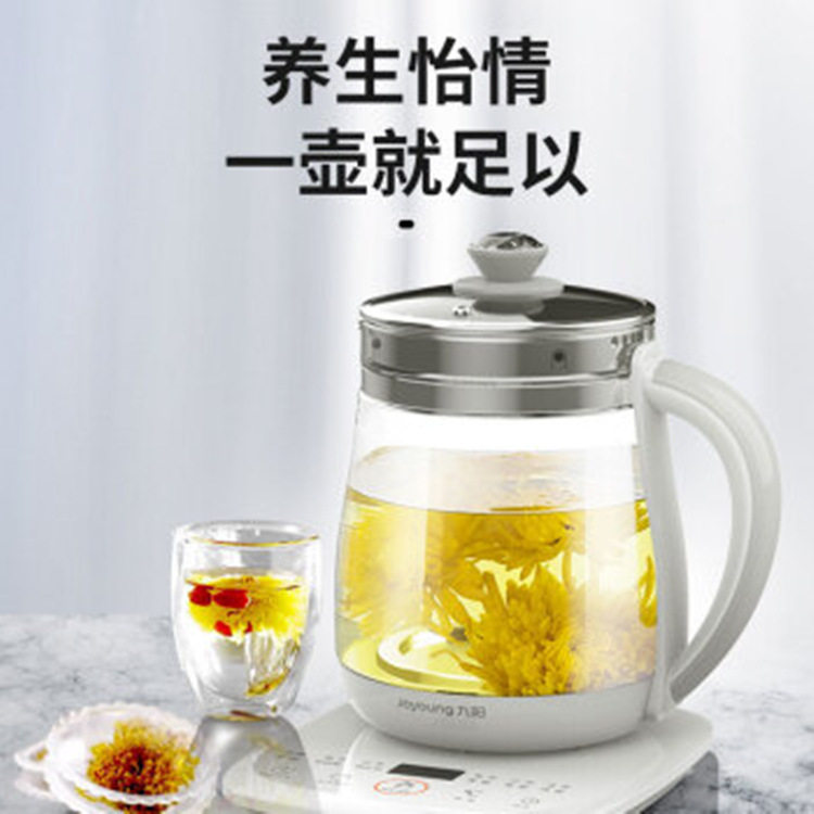  富信威尔电器养生壶/煎药壶