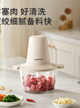 九阳多功能速绞绞肉机