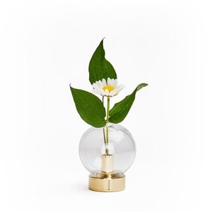 现货瑞典KLONG orbis黄铜玻璃花瓶花器ins样板房摆件礼物北欧网红