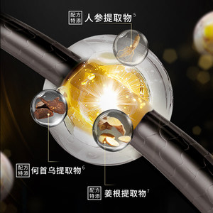 施华蔻防脱洗发水固发强韧防脱发蓬松控油洗发露精华液套装家庭装