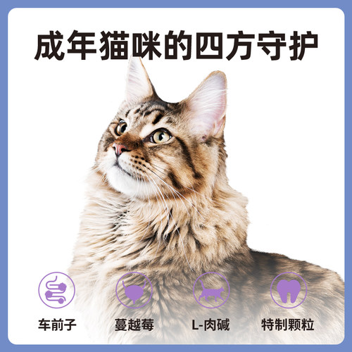 伯纳天纯成猫粮5kg宠物英短蓝猫成年猫天然低敏博纳天纯猫粮10斤 - 图0