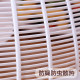 Plastic meal cover summer cover foldable and detachable
