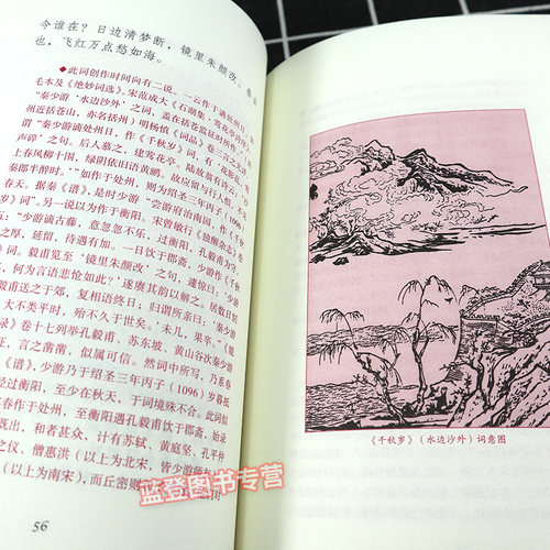 秦观词集词系列  秦观著徐培均导读简体横排中国古诗词文学系列古人评注历代名家鉴赏校注 诗词格律国学典籍正版书籍上海古籍出版 - 图2