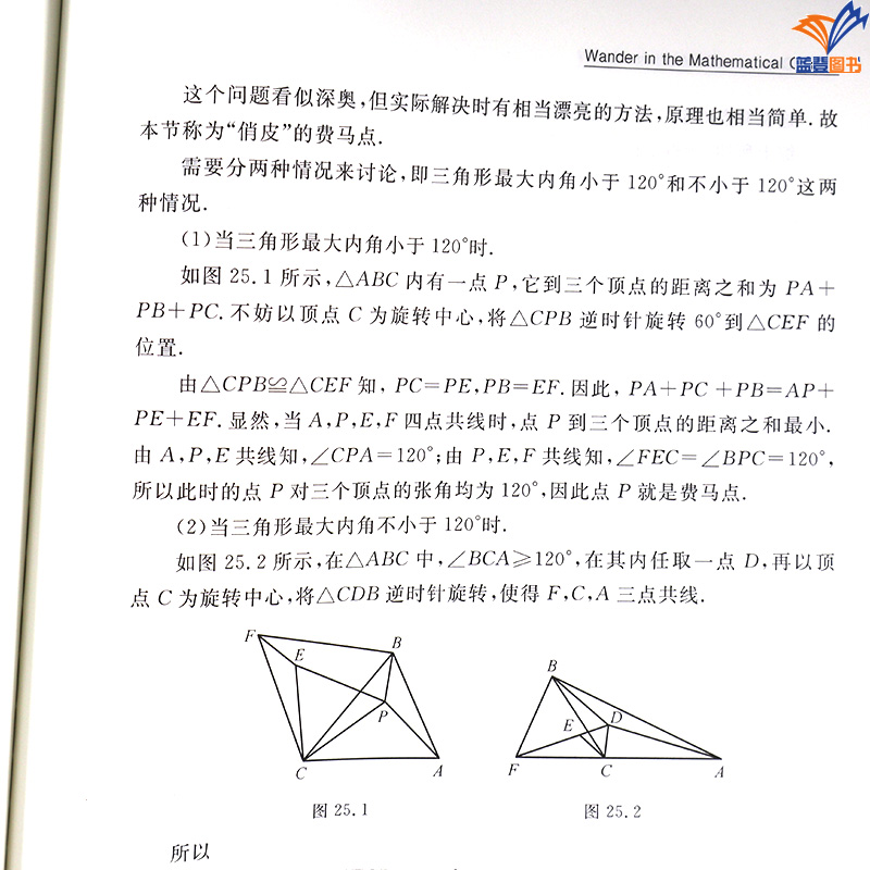 2024新书包邮数苑漫步 王方汉编著哈尔滨工业大学出版社探究数学分支来龙去脉讲述与数学专题有关的奇闻轶事数学史话学生教师用书 - 图3