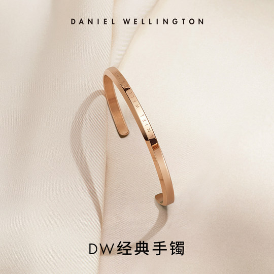 DW klassisches Armband aus Roségold, Paararmband