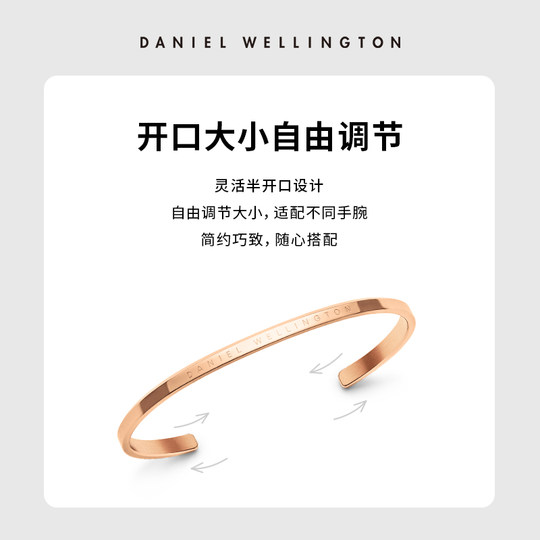 DW klassisches Armband aus Roségold, Paararmband