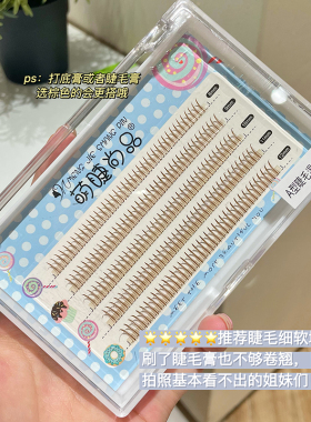 焦糖棕色组合装自然单簇假睫毛