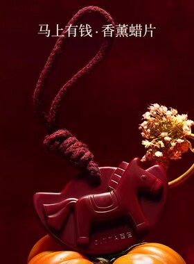 西苔南沉香小马香薰蜡片衣柜留香卧室卫生间持久乌木沉香香薰挂片