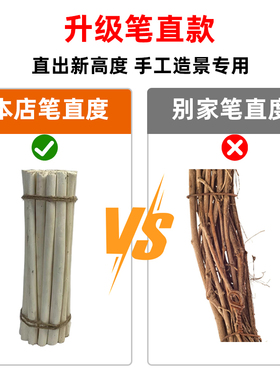 树枝材料松果装饰天然枯枝花束幼儿园手工diy树干枝条创意原木画