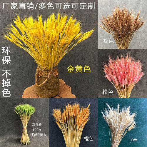开业大麦金黄色麦穗彩色干花花束田园客厅婚庆装饰摆件拍摄道具 - 图0