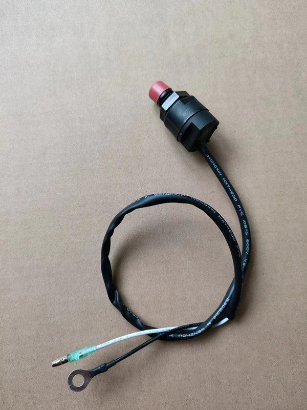 航凯亚岛派尼尔雅马哈海的百胜舰航汉邦船外机挂机 熄火开关+钥匙 - 图0