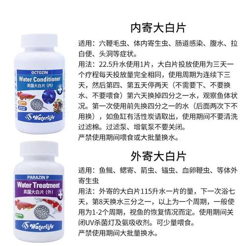 正品英国大白片水族箱鱼缸龙鱼罗汉观赏鱼肠炎内寄头洞凸眼外寄等 - 图0