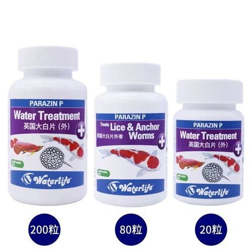 正品英国大白片水族箱鱼缸龙鱼罗汉观赏鱼肠炎内寄头洞凸眼外寄等 - 图3