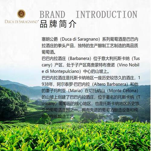 塞朗公爵 Aglianico Primitivo普利亚典型产区原瓶进口 750ml*2支 - 图3